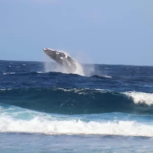 Tifaifai Et Cafe Huahine Fare